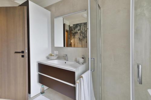 隆科索普拉阿斯科纳Appartamenti Ramarro的一间带水槽和镜子的浴室