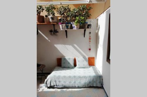 圣佩德罗-德里瓦斯Lovely studio, terrace, swim pool, nature, relax!!的一间小卧室,配有床和植物架子