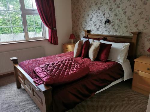 基拉尼Noraville House的一间卧室配有一张大床、红色毯子和枕头