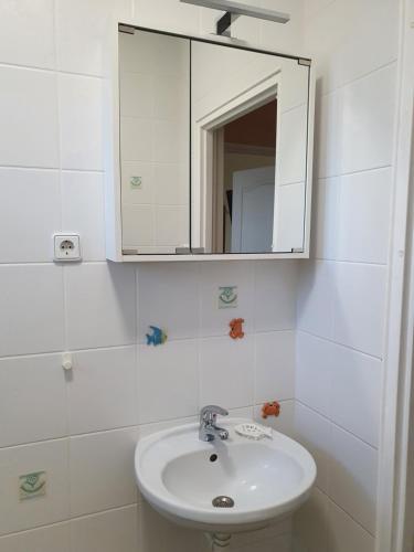 特兹萨茨Dom Max的白色的浴室设有水槽和镜子