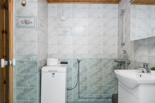 波里Apartments Borg Dyyni的一间带水槽和淋浴的浴室