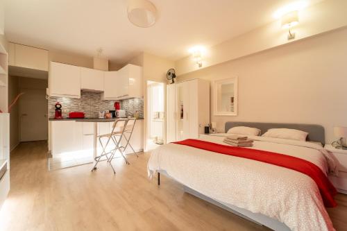 布鲁塞尔Luxury Studio In the EU Area的一间带大床的卧室和一间厨房