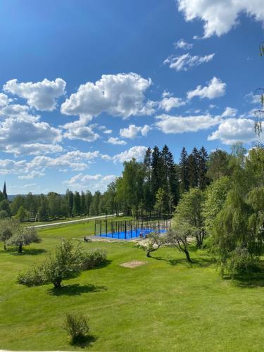 BergsgårdenBergsgården Hotell & Konferens的田间中带游泳池的公园