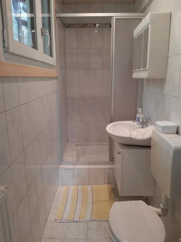 GreithMinihaus in den Bergen/ Small mountain house的浴室配有卫生间、盥洗盆和淋浴。