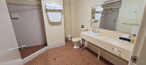 塔姆沃思高尔夫球场汽车旅馆的一间带水槽、卫生间和镜子的浴室