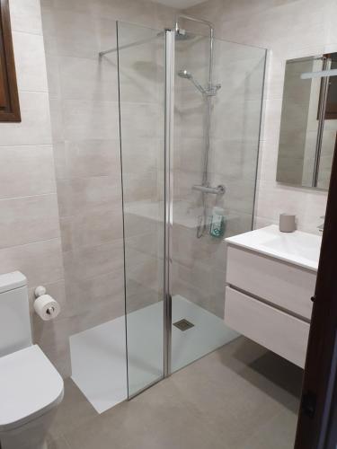 里贝斯的弗里瑟Apartament Vall de Ribes的带淋浴、卫生间和盥洗盆的浴室