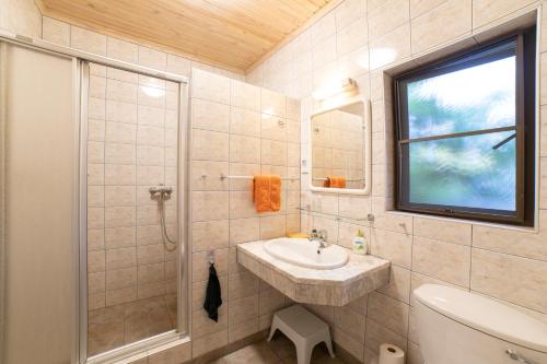 Klein WindhoekHotel Pension Palmquell的一间带水槽和淋浴的浴室