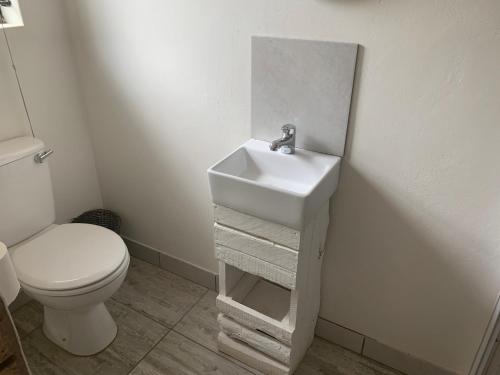 乌姆塔塔Cycad Stay的浴室配有白色水槽和卫生间。