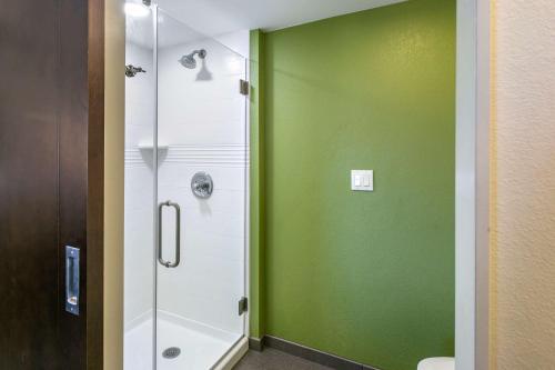 艾伦镇Sleep Inn Allentown-Fogelsville的一间带淋浴的浴室和绿色的墙壁
