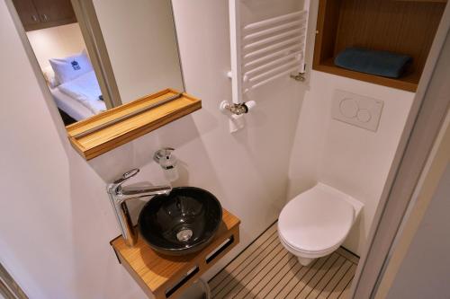 阿姆斯特丹爱丽丝船屋的一间带卫生间和水槽的小浴室
