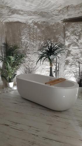 武夫赖La Trog'Laudy gîte 4 étoiles au coeur des vignes的花草间里的一个白色浴缸