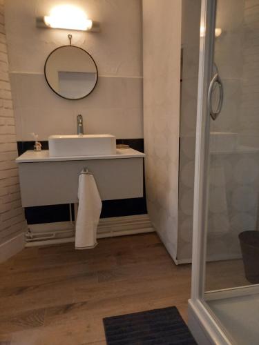 图尔Charmant studio dans le Vieux Tours的一间带水槽和淋浴的浴室