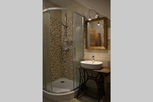 马里博尔Villam Apartment的一间带水槽和淋浴的浴室