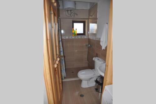 培拉特Eva guest house的一间带卫生间和水槽的小浴室