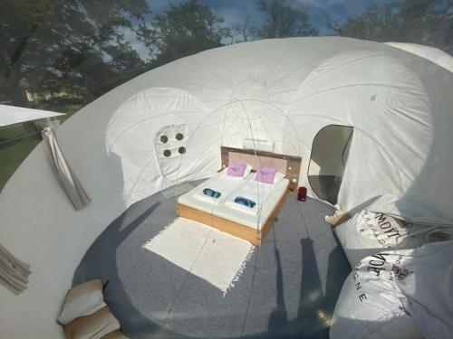 魏勒格Bubble Tent Hotel的帐篷内船只的顶部景色