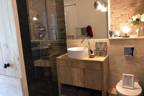 比斯特里察ViV Central Apart-Studio的一间带水槽和淋浴的浴室
