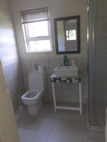 普利登堡湾Biesiesvlei 2的一间带卫生间、水槽和镜子的浴室