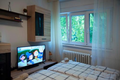 奥西耶克Studio Apartment Vijenac的一间卧室配有一张床和一台电视