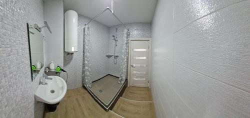 基辅Apartments Swan Lake的带淋浴、盥洗盆和镜子的浴室