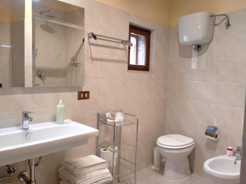 皮恩扎Small lovely home in Pienza的一间带水槽、卫生间和镜子的浴室
