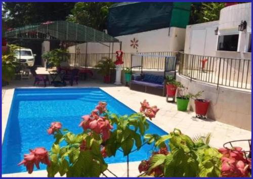 哥西尔Villa Labrousse (Atypical)的游泳池前面有植物