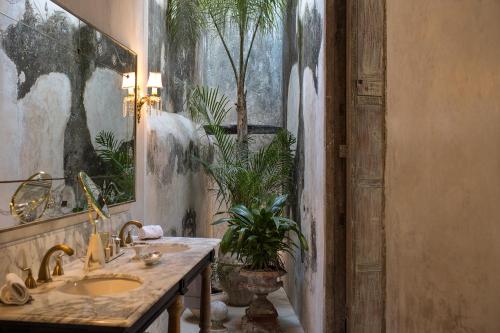 梅里达Casa Olivia的一间带水槽和盆栽植物的浴室