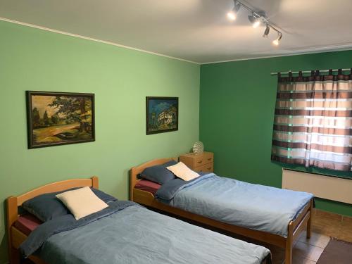 Morović莫洛维奇维拉桑赛公寓的绿墙客房内的两张床
