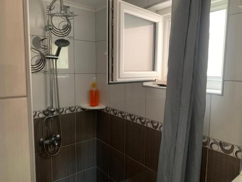 Morović莫洛维奇维拉桑赛公寓的带淋浴和浴帘的浴室