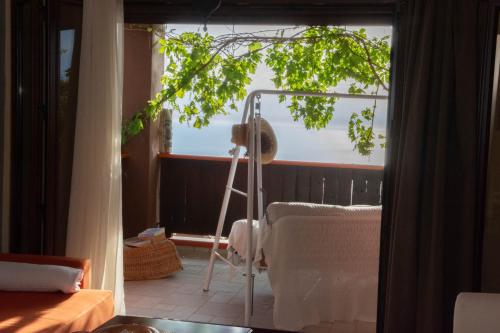 雅莎尼奥Tajo VIllas的一间有窗户的房间,有树和梯子