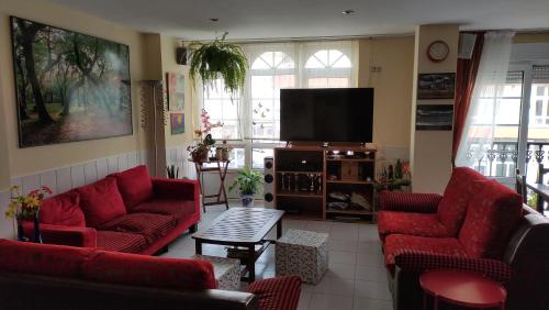 Bayo GrandePensión Residencia Miñones的客厅配有红色沙发和平面电视