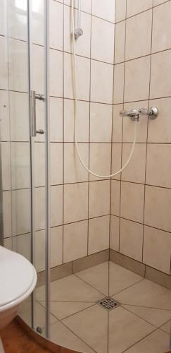 科沃布热格Wynajem pokoi的带淋浴、卫生间和盥洗盆的浴室