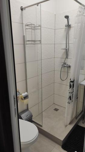 敖德萨Квартира на Дерибасовcкой的浴室设有玻璃淋浴间和卫生间