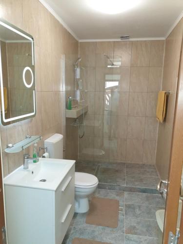 康斯坦察Kogalniceanu House的带淋浴、卫生间和盥洗盆的浴室