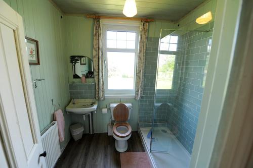 比特克 The Green House at Tathhill的一间带卫生间、水槽和窗户的浴室