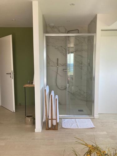 维琪奥港Villa L'Arbousière的带淋浴的浴室和玻璃门