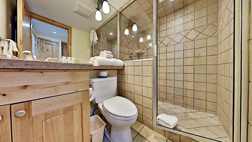 斯诺马斯村Timberline Condominiums Studio Deluxe Unit 215的一间带卫生间和淋浴的浴室