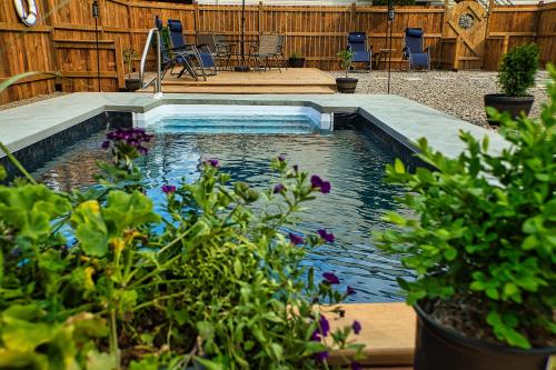 肖维尼根Auberge motel drakkar的庭院里种有植物的游泳池