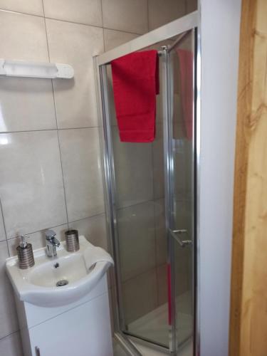 瓦伦西亚岛Country Cottage Apartment Valentia Island Kerry的带淋浴和盥洗盆的浴室