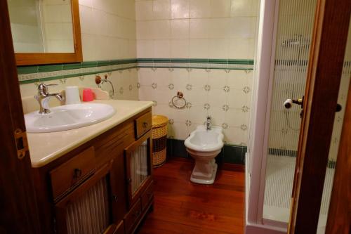 埃斯库瑙Apartamento rùstico Escunhau的一间带水槽和卫生间的浴室
