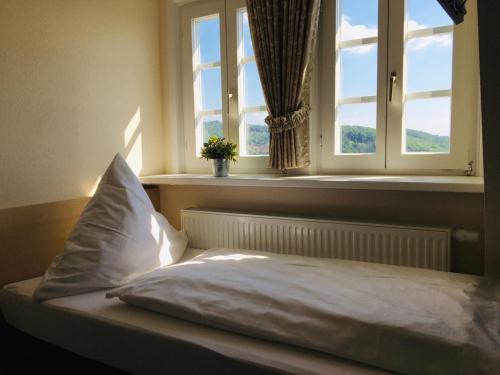 巴特拉斯费Schloß Wittgenstein的窗户和枕头的房间里一张床位
