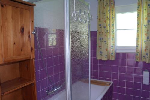 RingelaiFerienhaus Bayerwald的带淋浴和浴缸的紫色瓷砖浴室