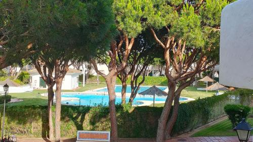 奇克拉纳－德拉弗龙特拉Sancti Petri Marinero的享有游泳池与树木之间的景色