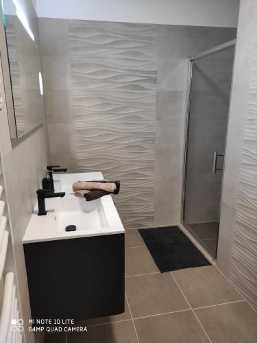 萨尔瓦尔Sweet Home Apartments的一间带水槽和淋浴的浴室