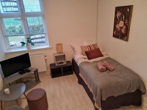 StokkemarkeHotel Stokkegaarden's BnB & Apartments的一间小卧室,配有一张床和电视