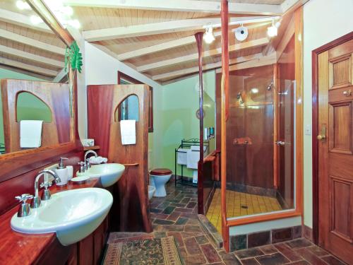 Wollumbin Palms Rainforest Retreat的一间浴室
