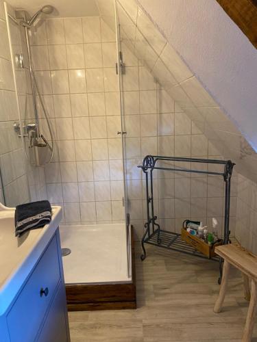 RappinFerienwohnung Otto的一间位于阁楼的带淋浴的浴室