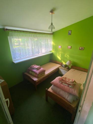 StręgielekDomek w sadzie na Mazurach的绿色的客房设有两张床和窗户。