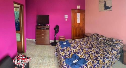 巴克里索莫雷诺港La Casa de Jeimy的一间卧室设有一张床、一台电视和紫色的墙壁