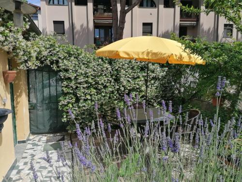 比萨Eco Pisa Tower Guesthouse的紫色花花园里的雨伞