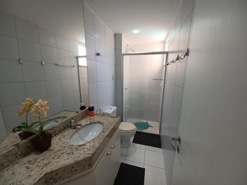 阿奎拉兹Palm Beach, Porto das Dunas的一间带水槽、卫生间和淋浴的浴室